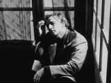 Marlon Brando 