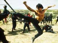 American Ninja 4