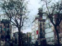 De nens 
