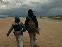 Sueos del desierto