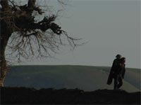 El caballo de dos piernas
