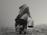 The Turin horse