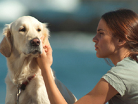 Seis puntos sobre Emma
